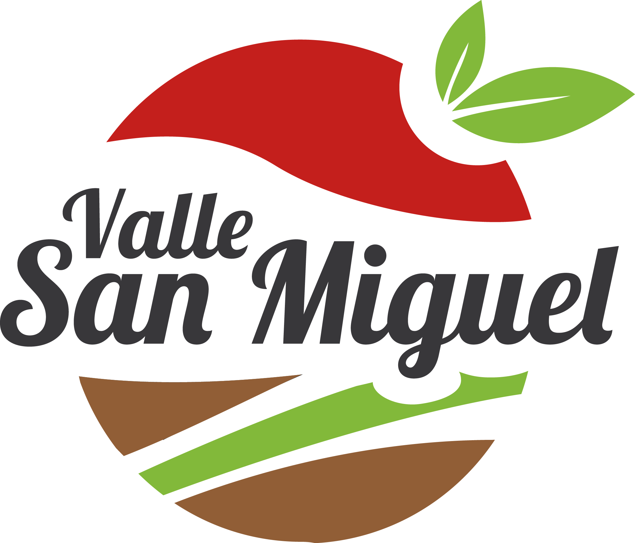 Logo Valle