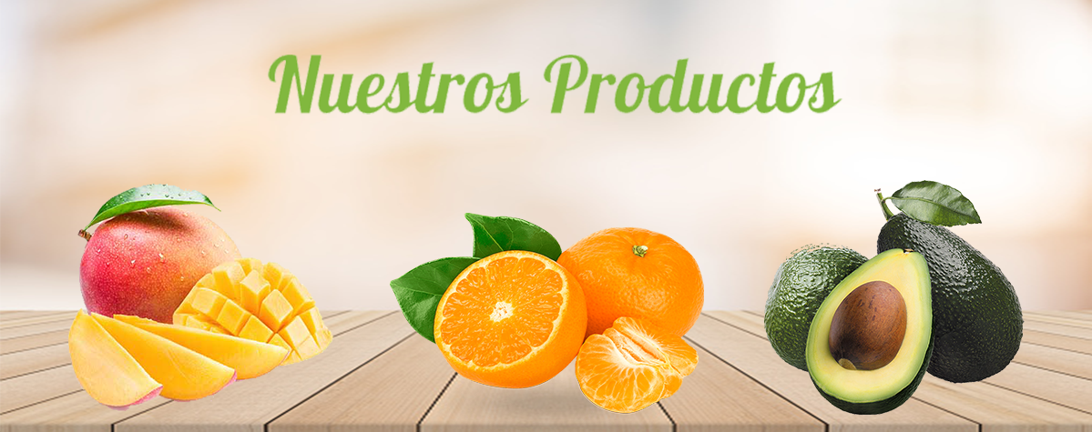 blog header